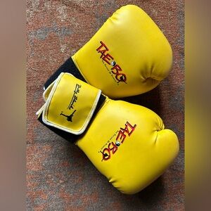 Kick Boxing Tae Bo Gloves